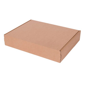 Postalboxes 370x290x70 F427 100pcs