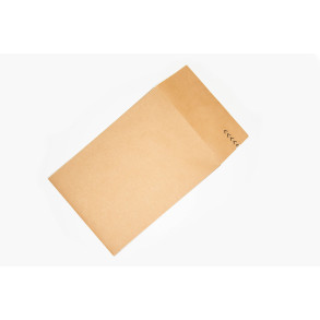 Paper Envelope Expandable Papieropak B4/BB 250x350x50mm